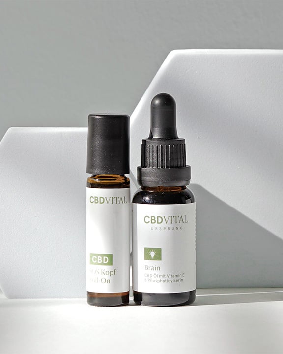 CBD Gedächtnis & Fokus-Set: SOS Kopf Roll-On & Ursprung Brain CBD Gedächtnis & Fokus-Set: SOS Kopf Roll-On & Ursprung Brain
