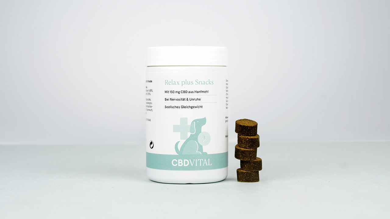 CBD Hunde-Snacks für gestresste Hunde