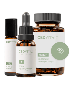 CBD Ged&auml;chtnis & Fokus Set