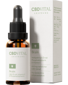 CBD Ursprung BRAIN
