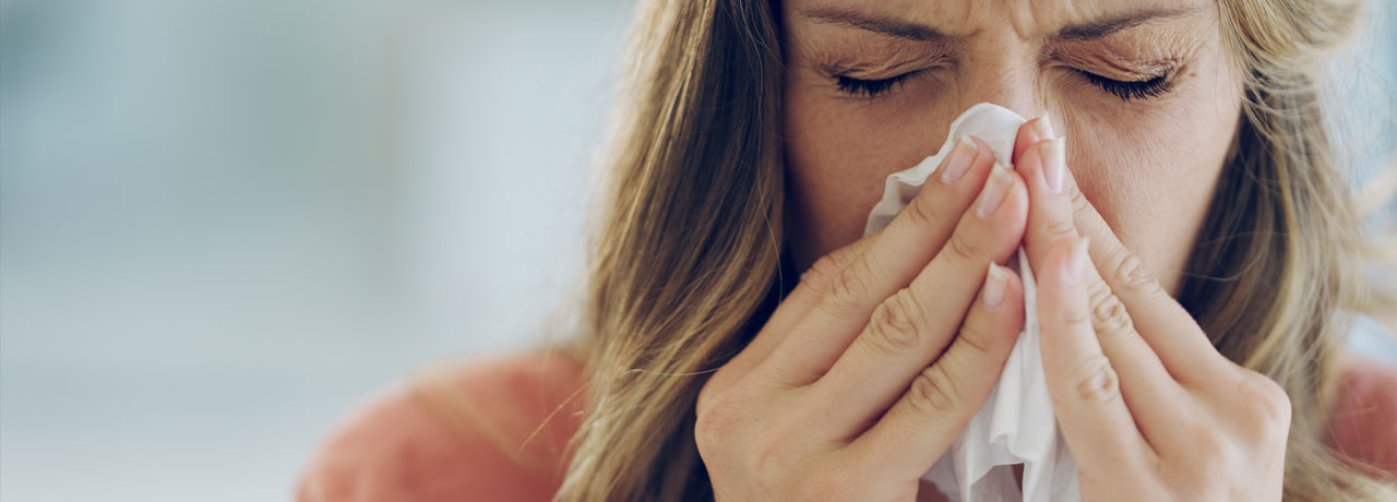 CBD gegen Erkältungen: Hilfe für das Immunsystem