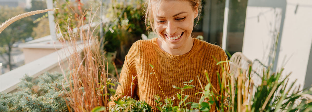 CBD bei Heuschnupfen – Wirkung und Anwendung