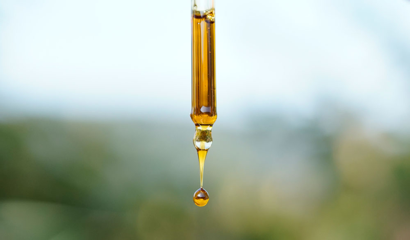 Vom Feld ins Fläschchen: So wird unser CBD Öl hergestellt