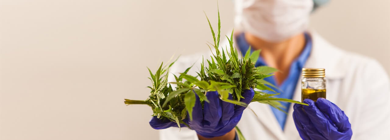 HHC (Hexahydrocannabinol) - Wirkung & Unterschied zu CBD
