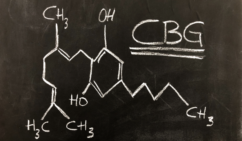 Was ist CBG (Cannabigerol)?