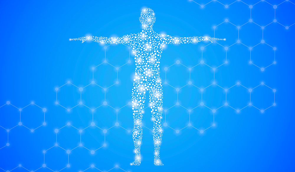 Das Endocannabinoid-System und seine Endocannabinoide