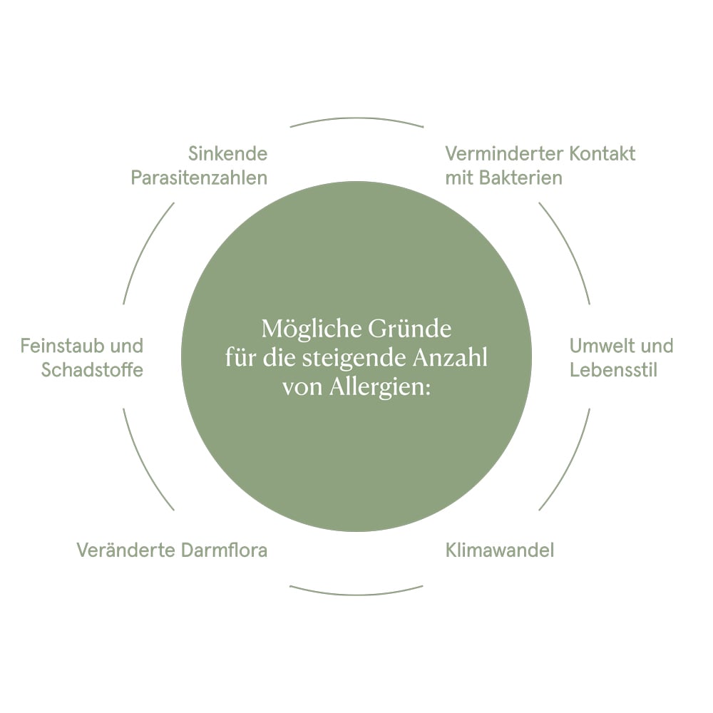 Mögliche Gründe und Faktoren für die Entstehung von Allergien