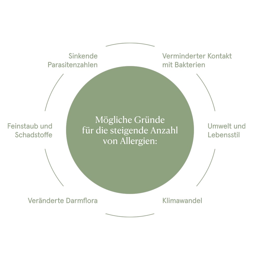 Mögliche Gründe und Faktoren für die Entstehung von Allergien