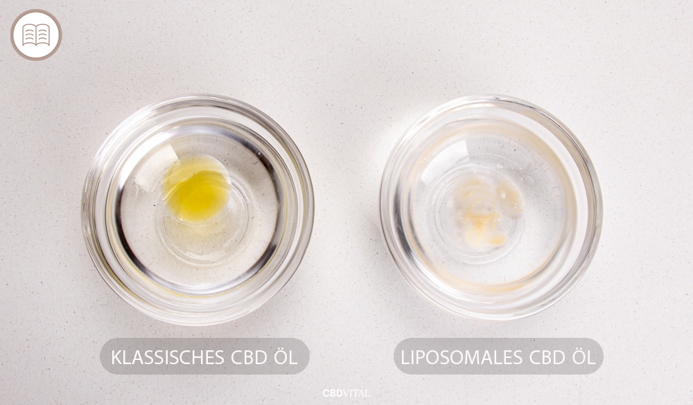 Herkömmliches CBD Öl vs. liposomales CBD Öl