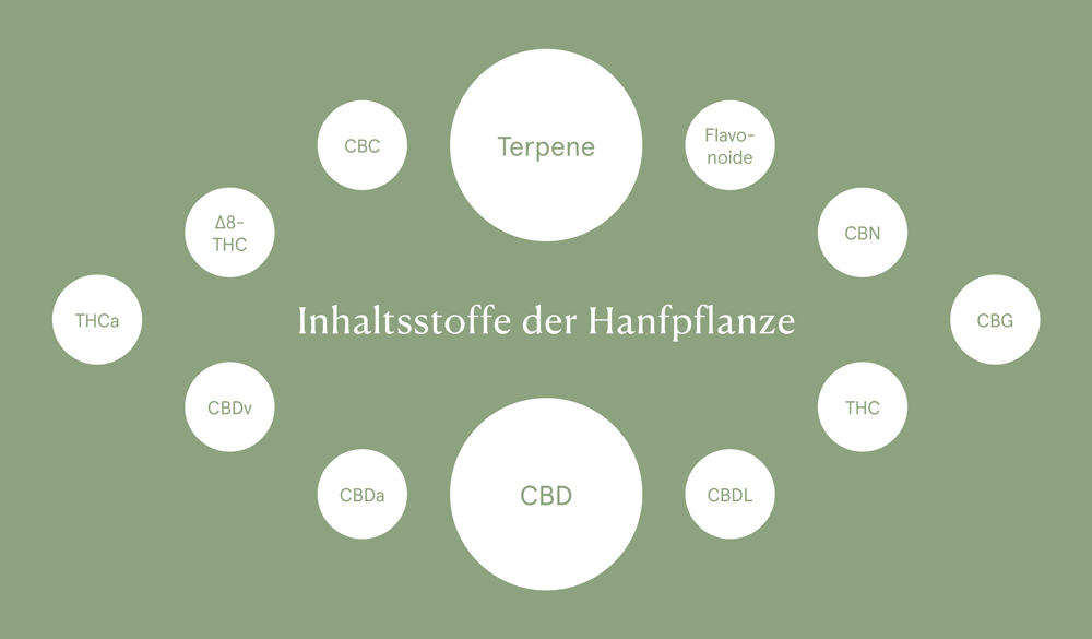 Inhaltsstoffe der Hanfpflanze