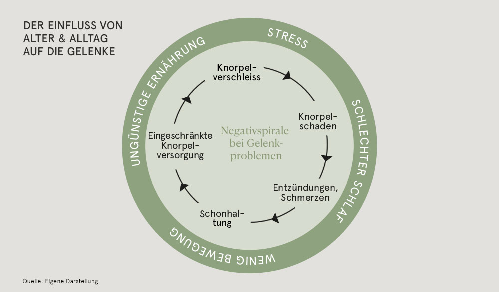 Der Einfluss von Alter & Alltag: Die Negativspirale bei Gelenkproblemen