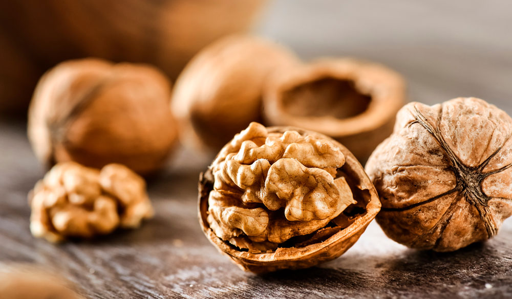 Omega 3 Fettsäuren – Nahrung fürs Gehirn