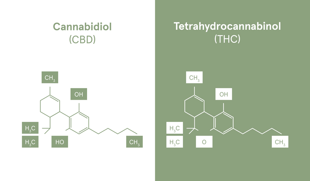 Unterschied der chemischen Struktur von CBD & THC